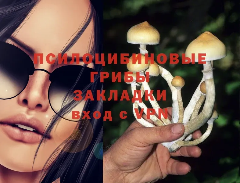 купить наркотики сайты  Кемь  Псилоцибиновые грибы Psilocybine cubensis 